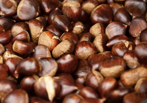 Chestnuts background — Stock Photo, Image