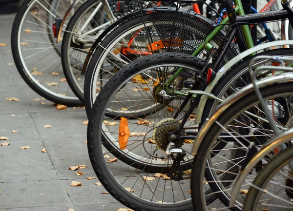 Bicycles parked on street — Stock Photo, Image