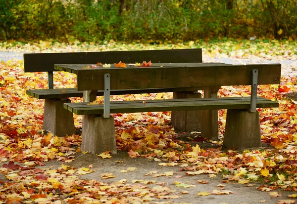 Jesień park ława — Zdjęcie stockowe
