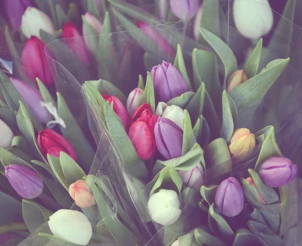 Bellissimo bouquet di tulipani dai toni vintage — Foto Stock