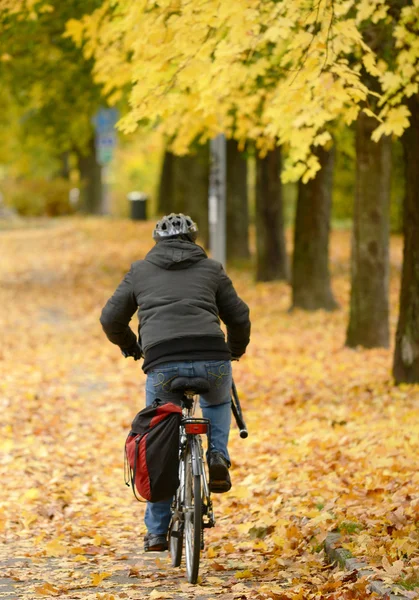 Radfahrer fährt im Herbst im Park — Stockfoto