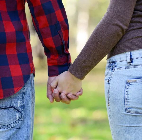 Pareja cogida de la mano y caminando en el parque — Foto de Stock