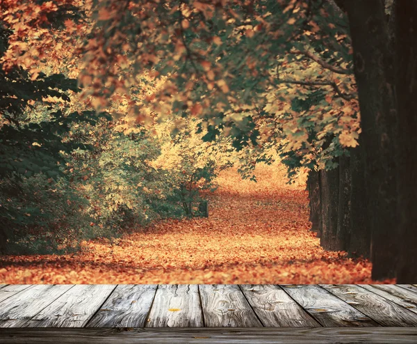 Krásné podzimní Les s dřevěnou podlahou — Stock fotografie