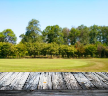 boş ahşap zemin çayır ile yeşil orman karşı