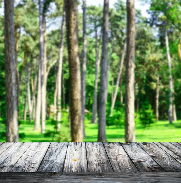Zöld erdő és a fa deszka padló háttér — Stock Fotó