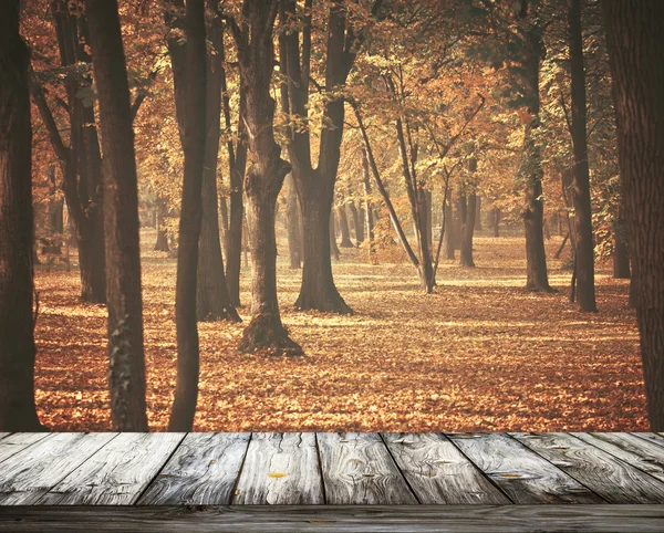 Krásné podzimní Les s dřevěnou podlahou — Stock fotografie