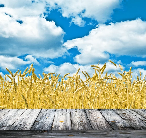 Wheat field and blue sky above wood floor — Stock Photo, Image