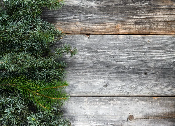 Julgran Gran på en planka — Stockfoto