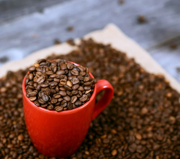 Xícara de café cheio de grãos de café contra fundo de madeira — Fotografia de Stock