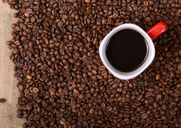 Cup of coffee on coffee beans background — Stock Photo, Image