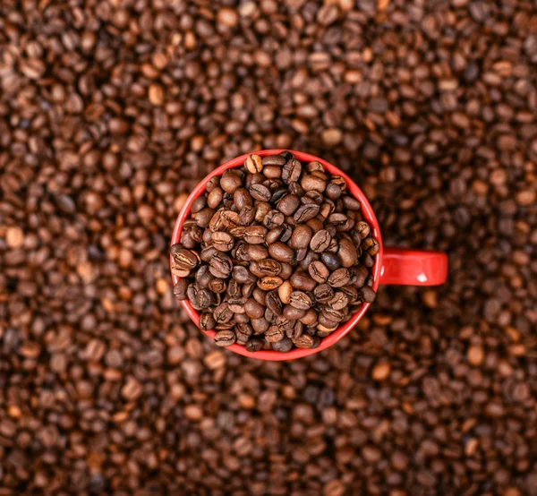 Κόκκινο φλιτζάνι καφέ σε κόκκους καφέ φόντο — Φωτογραφία Αρχείου