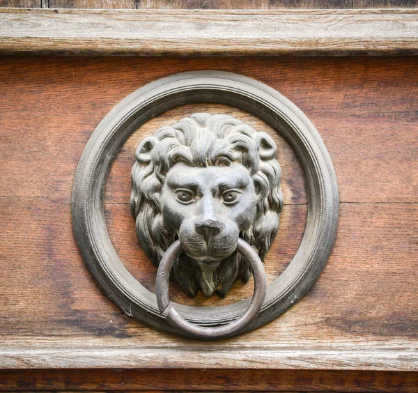 Lion door knocker on wooden door — Stock Photo, Image