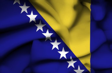 Bosna-Hersek dalgalanan bayrak