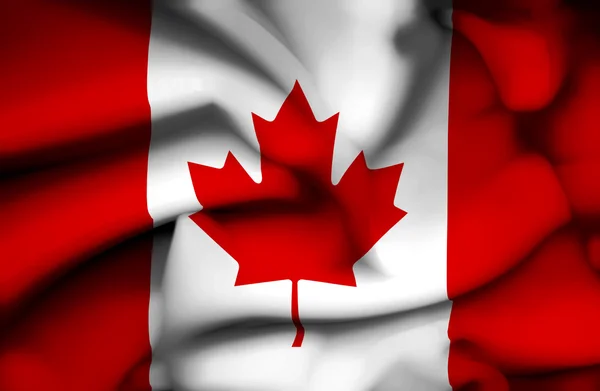 Canada wuivende vlag — Stockfoto