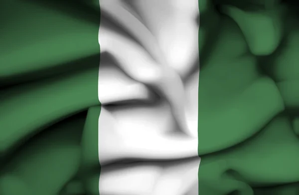 Nigeria agitant le drapeau — Photo