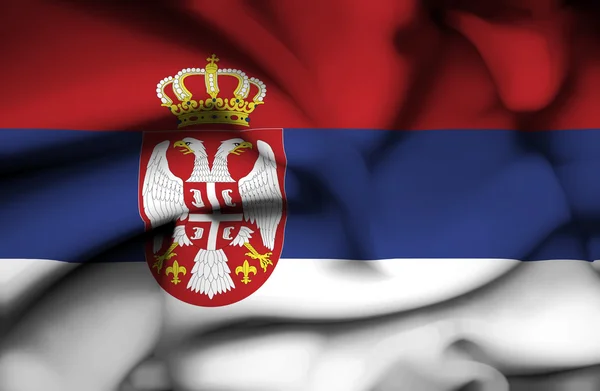 세르비아 흔들며 깃발 — 스톡 사진