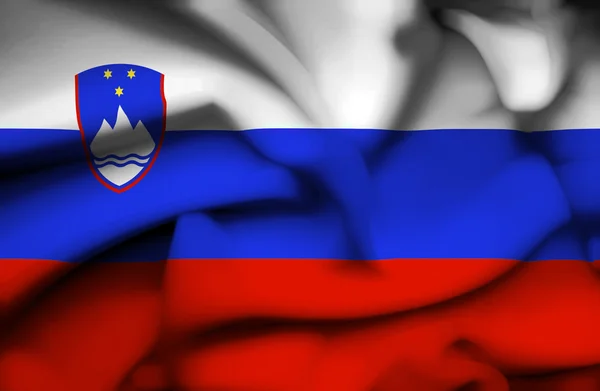 Slovenien viftande flagga — Stockfoto