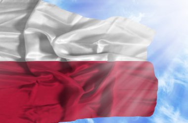 Mavi gökyüzü ile yapraklara karşı bayrak sallayarak Polonya