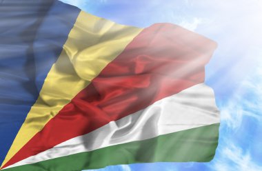 Mavi gökyüzü ile yapraklara karşı bayrak sallayarak Seyşeller