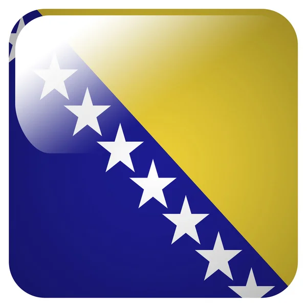 Glanzende pictogram met de vlag van Bosnië en herzegovina — Stockfoto