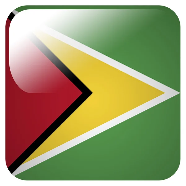 Glossy icon with flag of Guyana — Stock Photo, Image