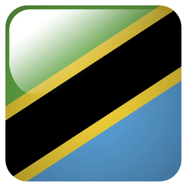 Icono brillante con la bandera de Tanzania — Foto de Stock