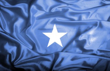 Somali dalgalanan bayrak