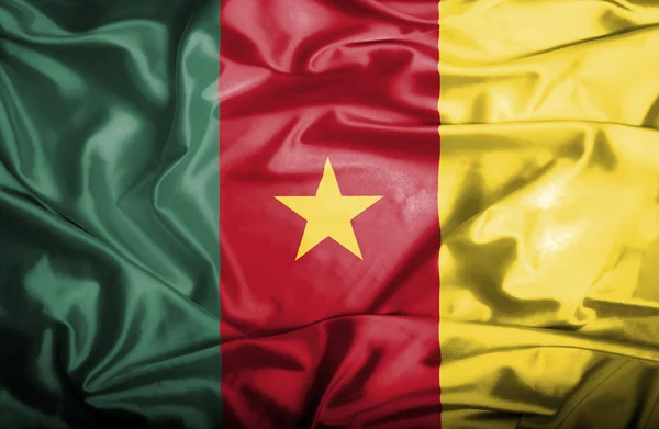 Kamerun schwenkt Flagge — Stockfoto