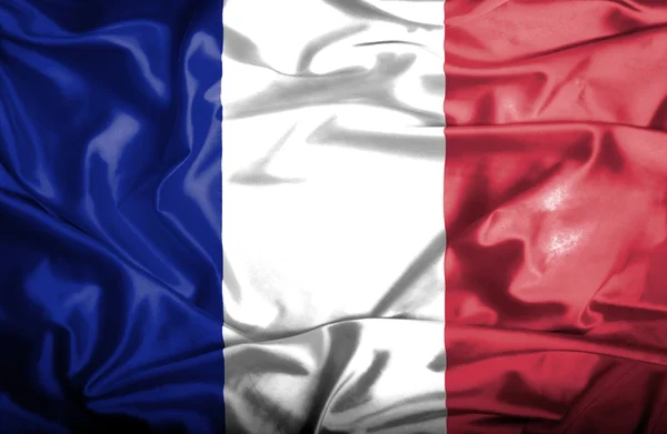 France agitant le drapeau — Photo