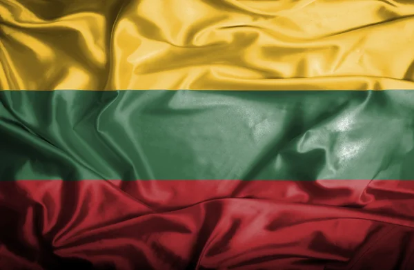 Lithuania waving flag — Stock Photo, Image