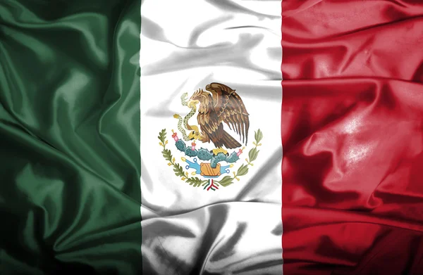 Mexico som vifter med flagg – stockfoto