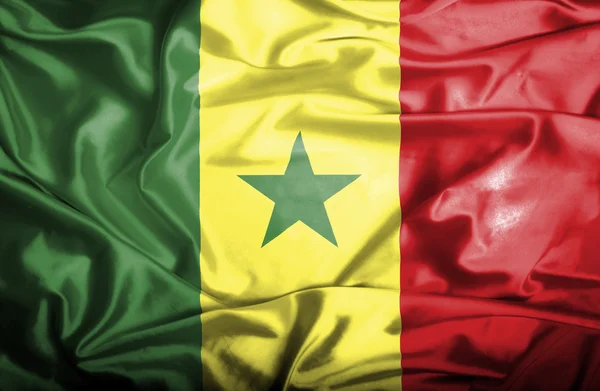 Senegal schwenkt Flagge — Stockfoto