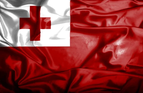 Tonga schwenkt Flagge — Stockfoto