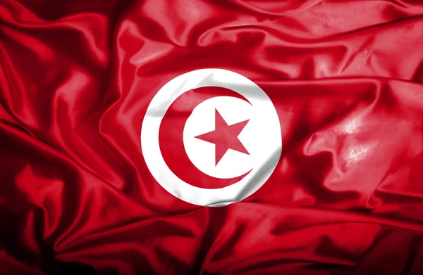 Tunisie agitant le drapeau — Photo