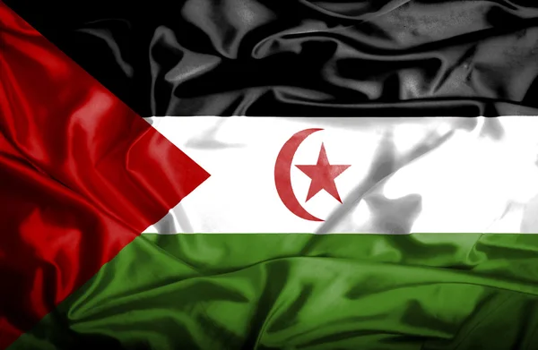 Sahara Occidental ondeando bandera —  Fotos de Stock