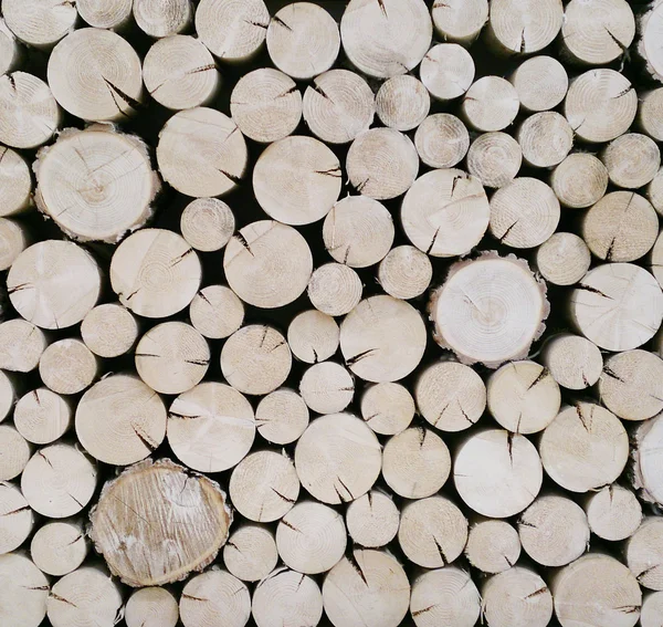 Geschnittene Holzstämme Hintergrund — Stockfoto