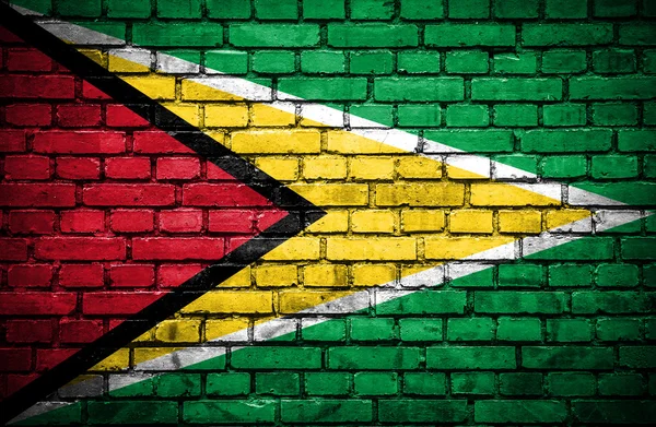 Parede de tijolo com bandeira pintada da Guiana — Fotografia de Stock