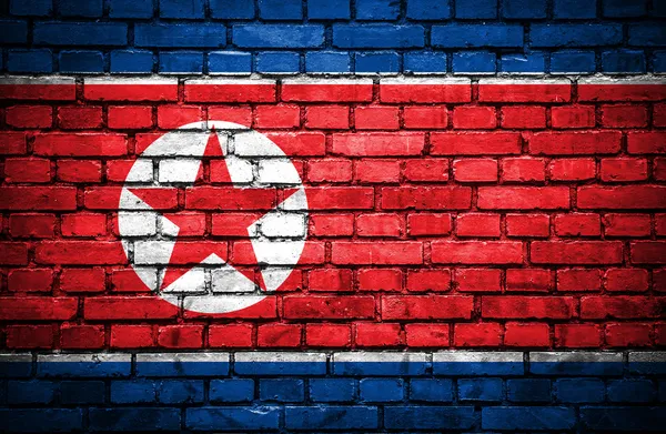 Parede de tijolo com bandeira pintada da Coreia do Norte — Fotografia de Stock