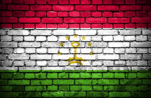 Backsteinmauer mit bemalter Flagge von Tadschikistan — Stockfoto