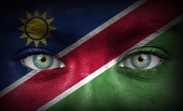 Cara humana pintada con bandera de Namibia — Foto de Stock