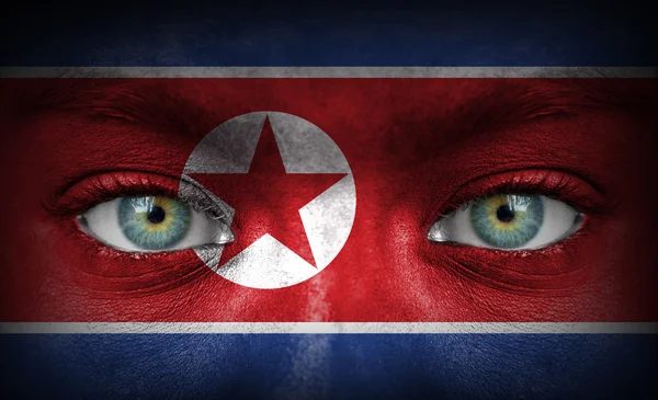 Rosto humano pintado com bandeira da Coreia do Norte — Fotografia de Stock