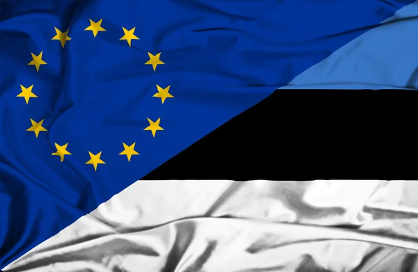 Estonya ve AB bayrağı sallayarak — Stok fotoğraf