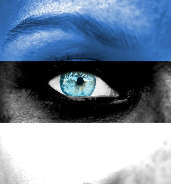 Woman face painted with flag of Estonia — Stock Photo, Image