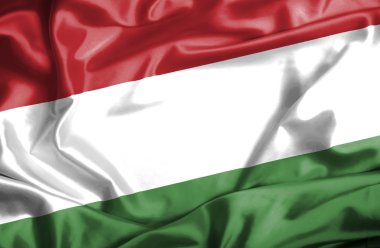 Macaristan dalgalanan bayrak