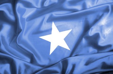 Somali dalgalanan bayrak