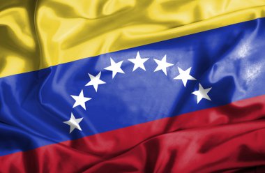 Venezuela dalgalanan bayrak