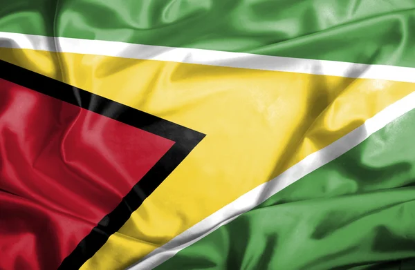 Guyana schwenkt Flagge — Stockfoto