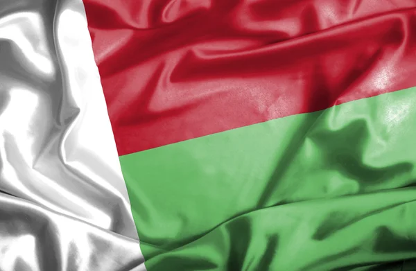 Madagascar waving flag — Stock Photo, Image