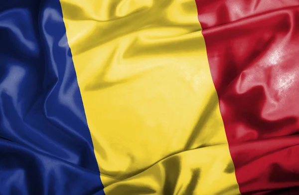 Roumanie agitant le drapeau — Photo