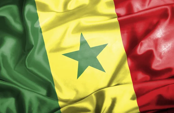 Bandiera sventolante del Senegal — Foto Stock